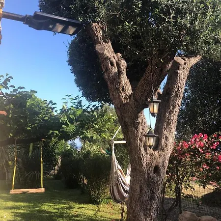 Il Vicolo Caprioli Casa vacanze