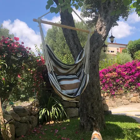 Il Vicolo Palinuro Ferienhaus *