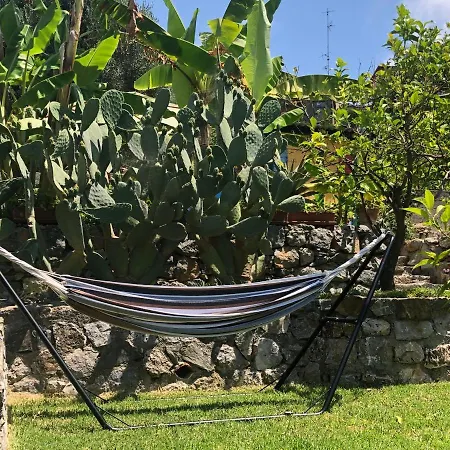Casa vacanze Il Vicolo Caprioli Pisciotta