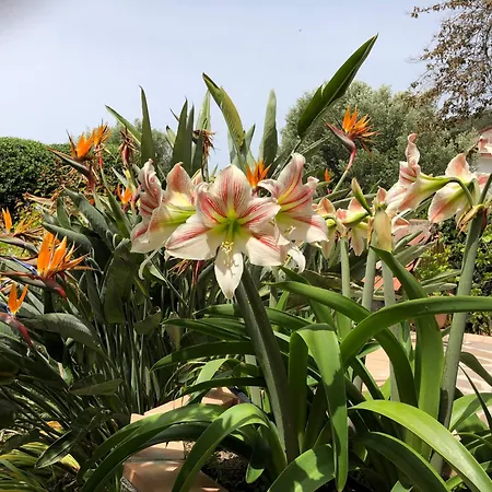 Il Vicolo Palinuro Ferienhaus Pisciotta