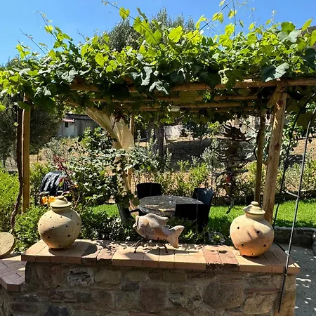 Casa vacanze Il Vicolo Caprioli Pisciotta