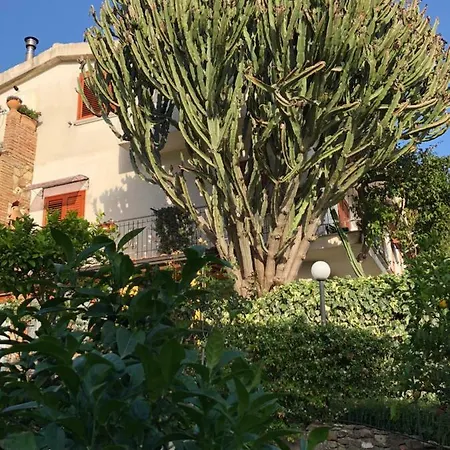 Il Vicolo Palinuro *