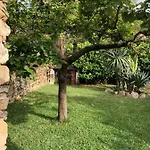 Il Vicolo Caprioli