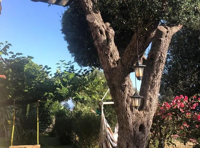 Il Vicolo Palinuro Tatil Evi