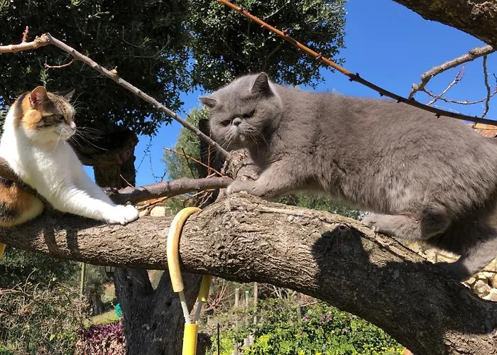 Il Vicolo Palinuro * Pisciotta